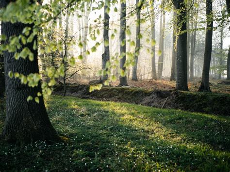 Wandern An Der Schlei Tourentipps Rund Um Den Ostseefjord Fr Ulein