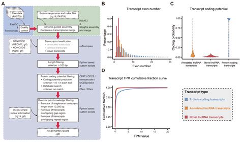 Ijms Free Full Text Comprehensive Transcriptome Analysis Expands