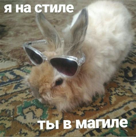Мемы от кролика | Мемы, Крольчата, Смешно