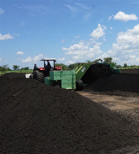 Investing in Our Planet With Organic Cacao Farming — Equal Exchange Resource Center