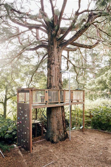 A Climbing Wall And Tree House In The Back Yard Playground Landscaping