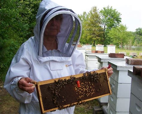 The Peace Bee Farmer Raising Queen Bees