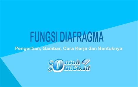 Fungsi Diafragma Brain