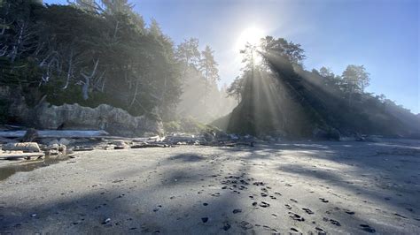 The Best Uncrowded Beaches On The Olympic Peninsula Wa