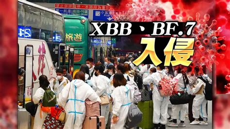 首例本土確診xbb和bf 7！ 40歲男打3劑「二度染疫」判定社區感染xbb Yahoo奇摩汽車機車