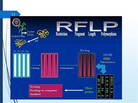 Molecular diagnostics techniques