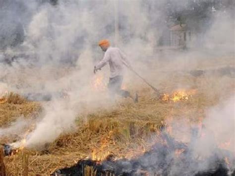 Punjab Stubble Burning Cases Worst Air Quality Supreme Court Of India