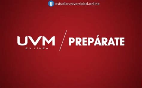 Uvm En Línea Carreras Costos Y Convocatorias 【2021】