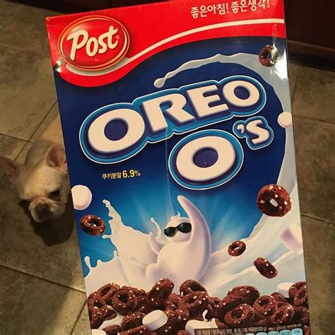 Oreo Cereal Exclusive And Straight From Japan Via Renee Harshey Fit