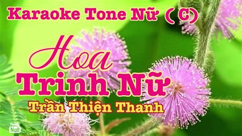 Hoa Trinh Nữ Karaoke Tone Nữ C musicfree karaoke hoa trinh nữ YouTube