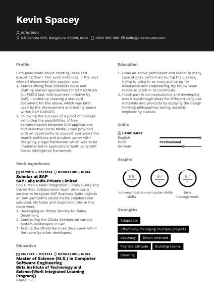 Accounting Finance Resume Examples Writing Guide For Accounting