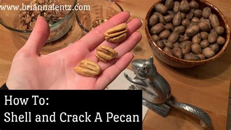 How To Shell And Crack A Pecan Youtube