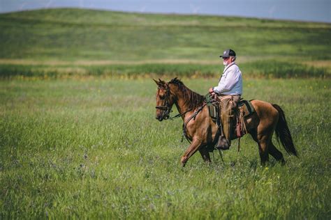 Field Master Allen Vincent — Sportsmans Pride