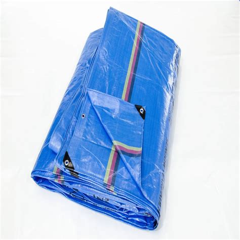 Supply All Purpose Waterproof HDPE Super Heavy Duty Poly Tarp PE