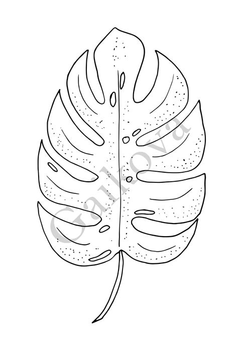 Printable Monstera Leaf Outline