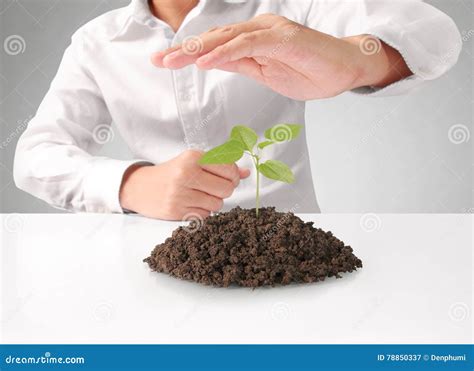 Concept Of Growing From Plant In Hand Stock Image Image Of Leaf