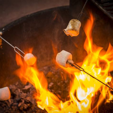 Gulfport, Mississippi Camping Deals | Gulfport KOA Holiday