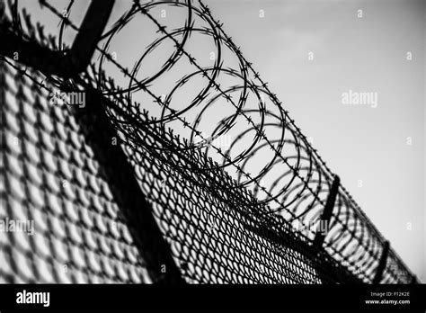 Prison Fence in Black and White. Barbed Wire Fence Closeup Stock Photo ...