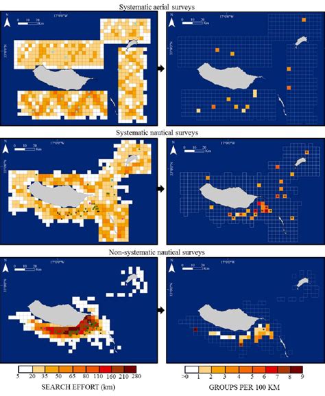 3 Distribution Of The Search Effort And Sightings Of Short Finned