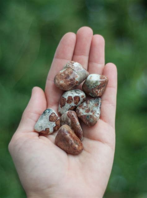 Tumbled Hessonite Garnet In Limestone Tumbled Small Crystals