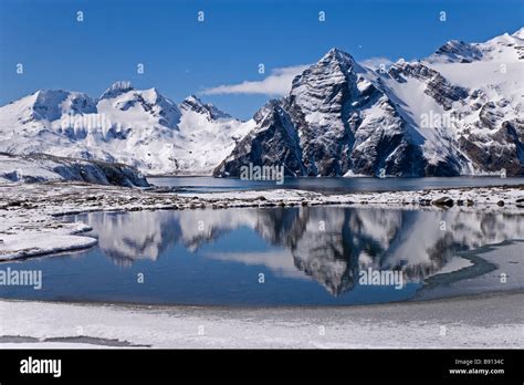 South Georgia Island Antarctic Bay Stock Photo Alamy