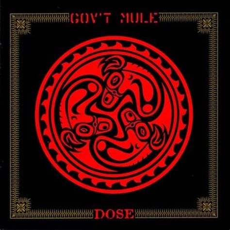 The Best Gov't Mule Albums, Ranked By Fans