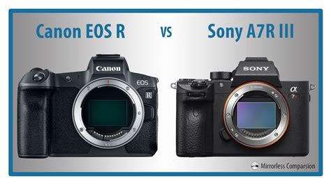 Canon EOS R Vs Sony A7R III The 10 Main Differences Mirrorless