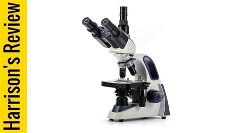 Best Compound Microscopes 2024 Top 5 Youtube