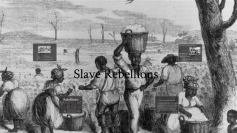 slave rebellions by gissel avellaneda