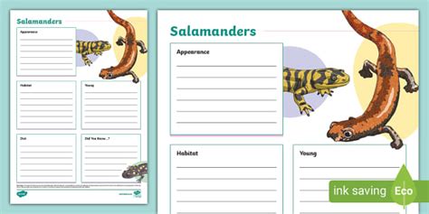 NEW Salamanders Fact File Template Lehrer Gemacht