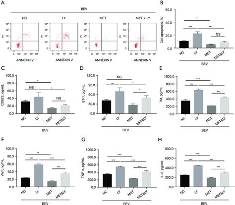 Effect Of The PI3K Inhibitor On Apoptosis Vascular Endothelial Injury