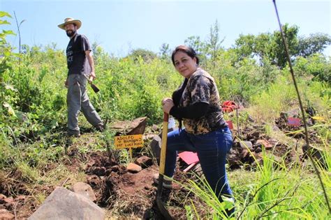 Qué es la restauración forestal Secretaría de Medio Ambiente y