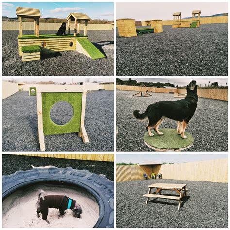 Fife Secure Dog Park - Dog Parks Near Me