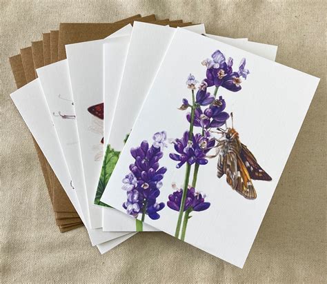 Eastern Skipper Butterfly Note Cards Etsy
