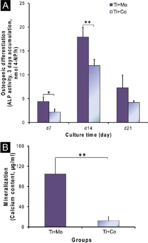 Osteogenic Differentiation N Of At Mscs Monocultures Ti Mo