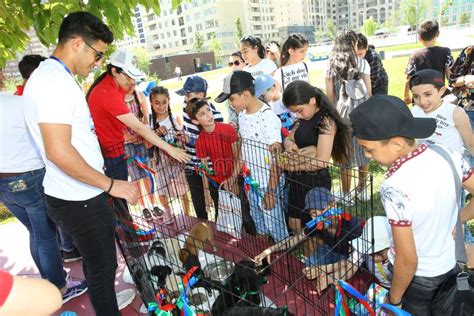 Festival Infantil En El Parque Del Centro De Heydar Aliyev Día