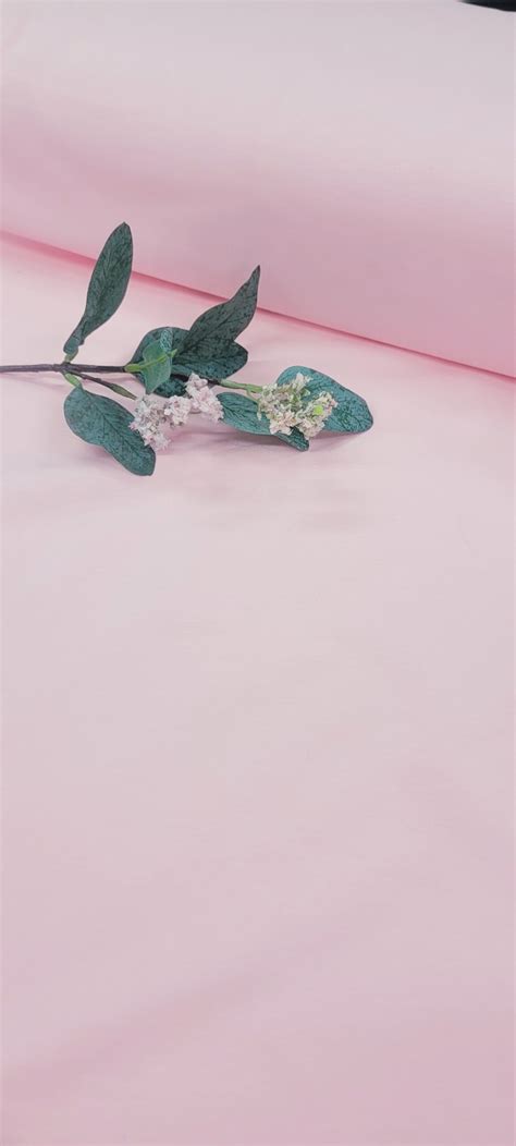 Vaal Pun Nude Joustocollege Nanniliini