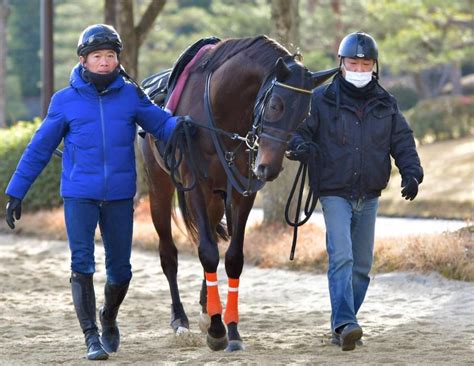 【共同通信杯】皐月賞馬弟が王道へ名乗り キングストンボーイ＆シャフリヤール競馬・レースデイリースポーツ Online