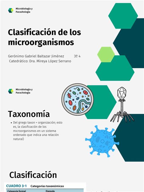 Clasificación De Los Microorganismos Pdf Taxonomía Biología Microbiología