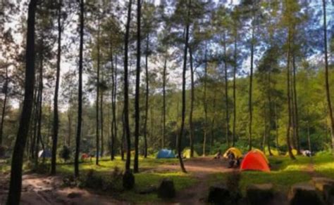 Rekomendasi Tempat Camping Di Malang Cocok Untuk Liburan Bareng Teman