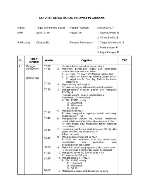 Laporan Kerja Harian Perawat Pelaksana Pdf