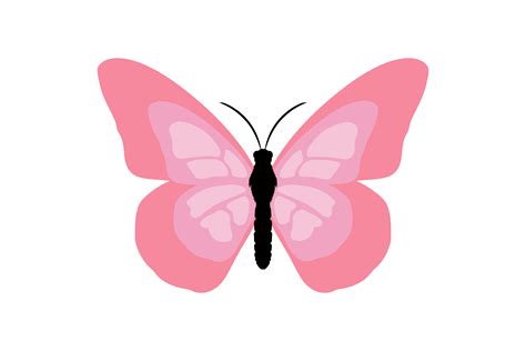 Buterfly Design Beautiful Graphic By Happlestudio9 · Creative Fabrica