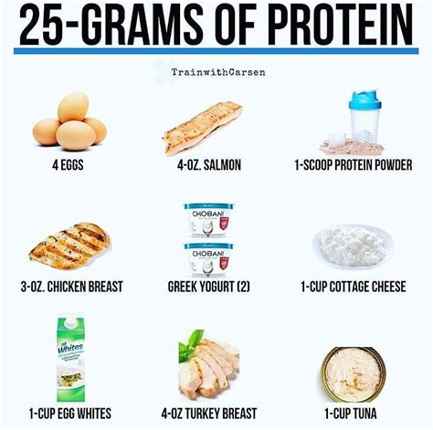 Above Ive listed some simple examples of what 25-grams of protein looks ...