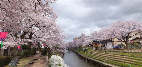 Meilleurs Endroits Pour S Journer Pr Fecture De Toyama Japon The