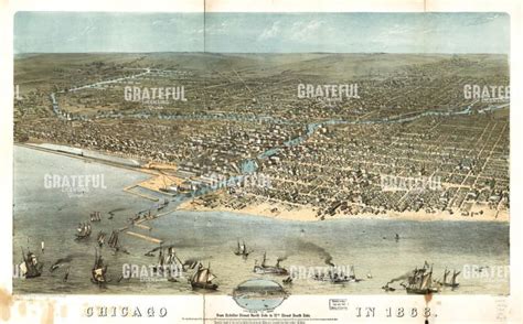 Old Harbor Map - Grateful Art Licensing