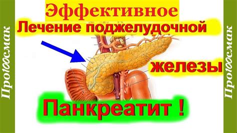 Лучший НАСТОЙ при ПАНКРЕАТИТЕ. Как вылечить панкреатит навсегда. - YouTube