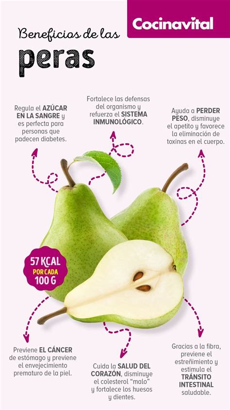 Hay Más De 8 Variedades Y Su Mejor Temporada Es Otoño Además De Deliciosa Sus Beneficios Para