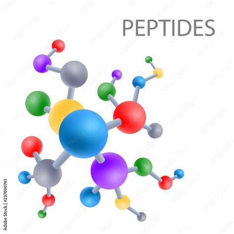 Peptide structure the structure of the amino acid, vector Stock Vector ... 