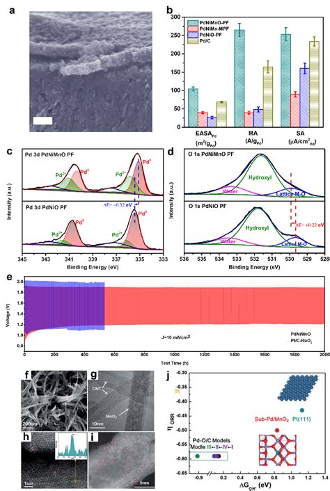 美国中佛罗里达大学杨阳教授susmat综述：强贵金属 金属氧化物相互作用于氧气还原反应：一种有效的催化剂设计策略 X Mol资讯