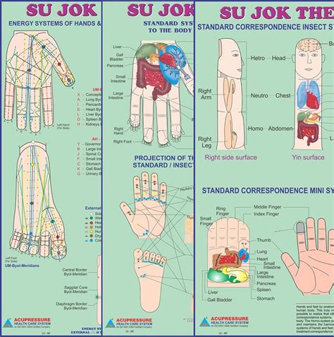 Printable Acupressure Points Chart